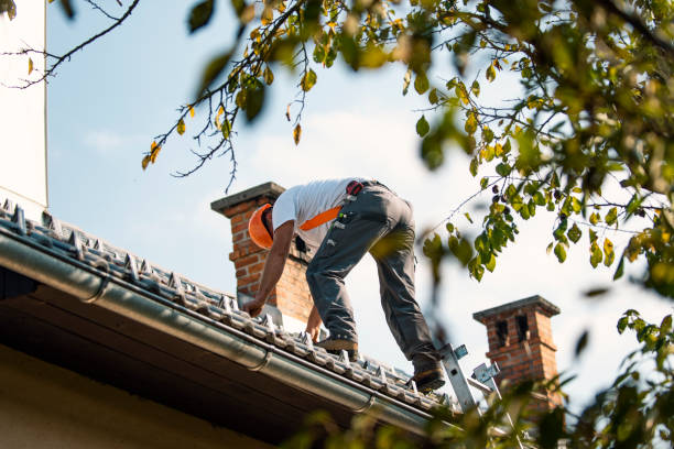 Best Steel Roofing  in Montevlo, AL