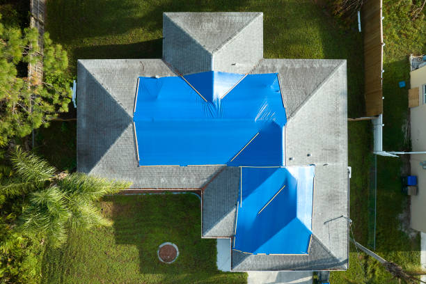 Best Solar Panel Roofing Installation  in Montevlo, AL